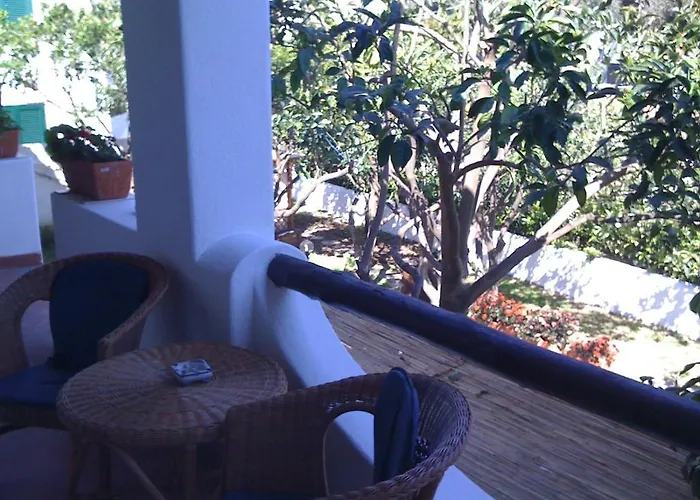 Adriana أمالفي